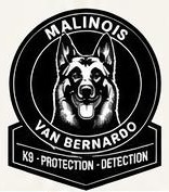 Van Bernardo logo